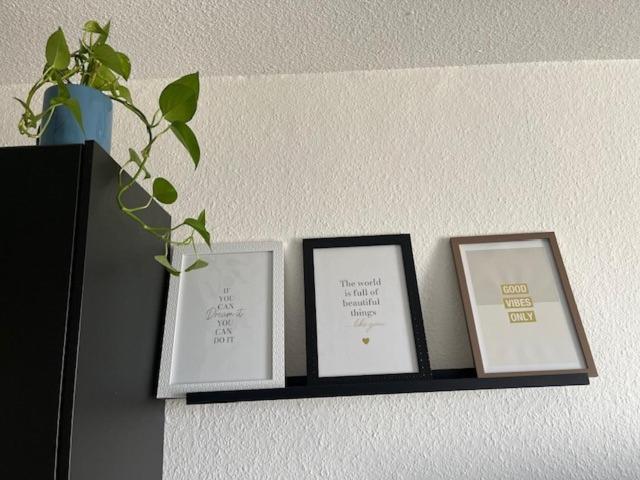 Cosy Rent Strasbourg Orangerie Tv Wifi Cathedrale Lejlighed Eksteriør billede